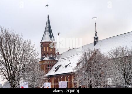 Kaliningrad, Russie, 29 janvier 2021. Arbre à fleurs sur l'île de Kant dans la ville de Kaliningrad, Russie Banque D'Images