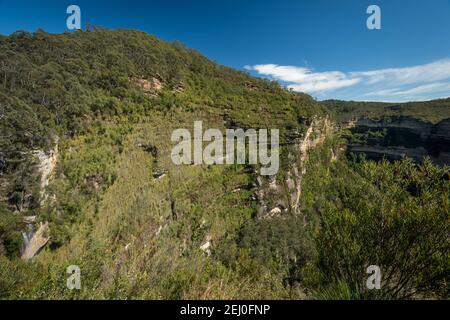 Govett's Hanging Garden de Barrow Lookout, Blackheath, Blue Mountains, Nouvelle-Galles du Sud, Australie. Banque D'Images