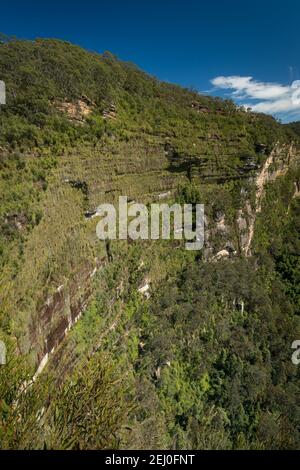 Govett's Hanging Garden de Barrow Lookout, Blackheath, Blue Mountains, Nouvelle-Galles du Sud, Australie. Banque D'Images