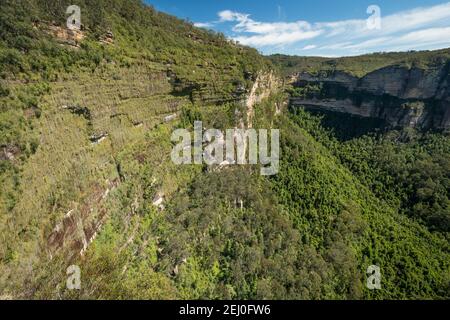 Govett's Hanging Garden de Barrow Lookout, Blackheath, Blue Mountains, Nouvelle-Galles du Sud, Australie. Banque D'Images