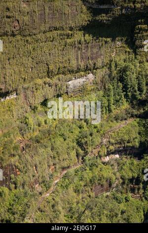 Govett's Hanging Garden de Barrow Lookout, Blackheath, Blue Mountains, Nouvelle-Galles du Sud, Australie. Banque D'Images