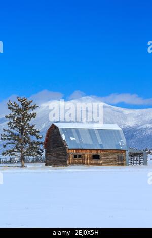 ancienne grange en bois sous le mont baldy dans les grandes montagnes près de townsend, montana Banque D'Images