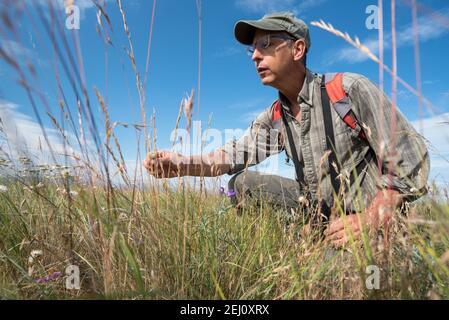 Jeff Fields, gestionnaire de programme pour la réserve Zumwalt Prairie de TNC, en Oregon, inspecte les conditions de la réserve. Banque D'Images