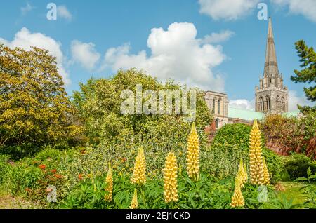 Chichester Cathedral vu de Bishops Palace Garden au printemps, West Sussex, Angleterre, Royaume-Uni Banque D'Images