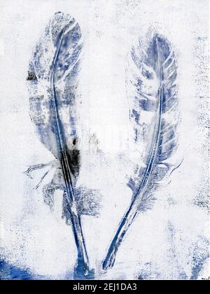 Indigo Feathers - photo d'artistes originaux monoprint Banque D'Images