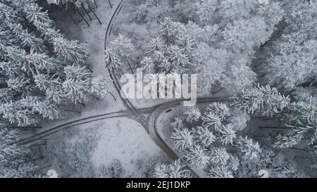 Image de drone d'une forêt de conifères en hiver, district d'Augsbourg, Souabe, Bavière, Allemagne, Europe Banque D'Images