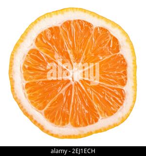 Tranche de Rangpur (lemandarin) - agrumes, hybride entre l'orange mandarine et le citron isolé sur blanc Banque D'Images