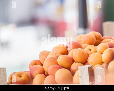 Abricots mûrs, orange rouge, du genre prunus armeniaca. En vente sur un marché de Belgrade, Serbie, entassés sur une cale. Ils sont parmi les su traditionnels Banque D'Images