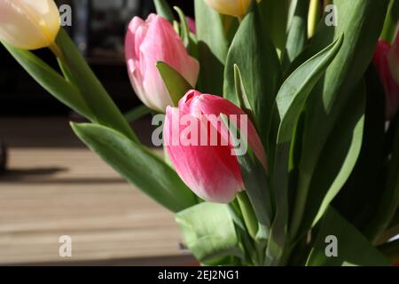 Bouquet printanier de tulipes sur fond flou Banque D'Images