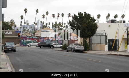 LOS ANGELES, CALIFORNIE, États-Unis - 27 octobre 2019 : gratte-ciel et palmiers urbains. LA ville esthétique, graffiti peinture sur la rue Vermont. Gratte-ciel en d Banque D'Images