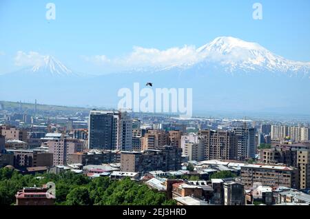 Vue sur la ville d'Erevan jusqu'au mont Ararat Banque D'Images