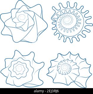 Ensemble vectoriel de coquillages. Objets isolés sur blanc. Illustration de Vecteur