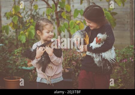 Deux petites filles en haut et un pantalon tenant trois cockerels Banque D'Images