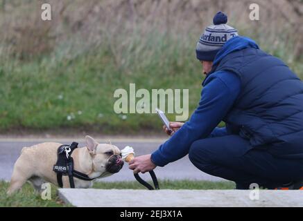 New Forest, Hampshire. 21 février 2021. Météo Royaume-Uni. Un homme qui traite son chien à une glace lors d'une journée chaude et lumineuse à la plage de Calshot dans la Nouvelle forêt. Credit Stuart Martin/Alay Live News Banque D'Images