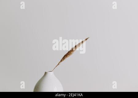 Vase blanc avec une herbe sèche.Décoration intérieure minimaliste scandinave.Mur blanc vide, espace de copie. Banque D'Images