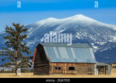 ancienne grange en bois sous le mont baldy dans les grandes montagnes près de townsend, montana Banque D'Images