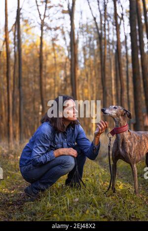 Femme parlant à son greyhound. Femme propriétaire d'animal de compagnie et dressage de chien obéissance d'animal à l'extérieur. Femme et son galgo espagnol pendant la promenade dans la forêt Banque D'Images