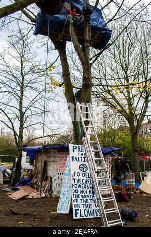 ISLINGTON, LONDRES, ANGLETERRE- 18 novembre 2021 : les manifestants Save Our Trees au Dixon Clark court protestent contre la destruction de sept enfants de 50 ans Banque D'Images