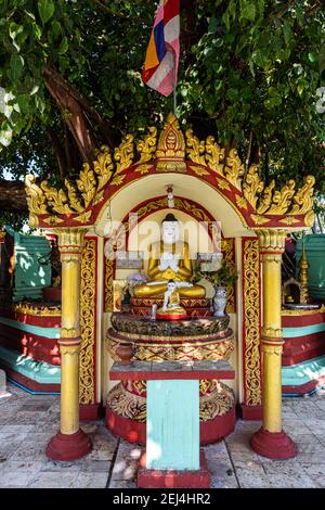 Statues de Bouddha autour d'un immense arbre, pagode su taung pyi, Myitkyina, état de Kachin, Myanmar Banque D'Images