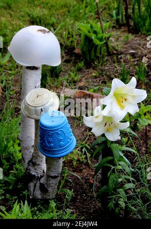 Un collage photo incroyable - trois branches de bouleau poussent de la terre avec trois pots sur le dessus et deux belles fleurs blanches sur la droite. Banque D'Images