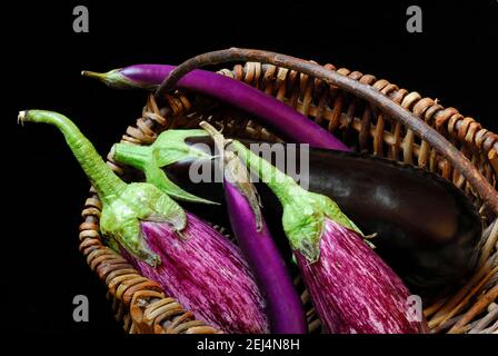 Plantes à oeufs diverses ( Solanum melongena) Banque D'Images