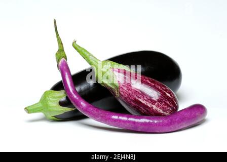 Plantes à oeufs diverses ( Solanum melongena) Banque D'Images