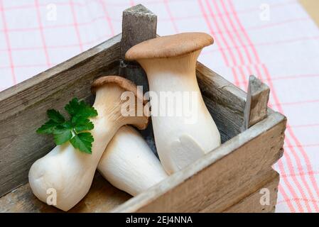 Grand trompettes (Pleurotus eryngii) en caisse en bois Banque D'Images