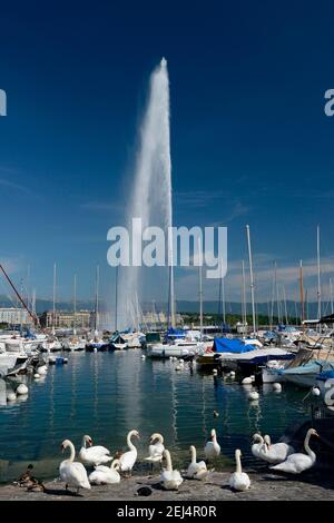 Jet d'eau, Genève, Canton de Genève, Suisse Banque D'Images