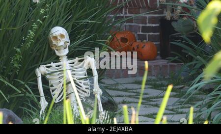 LOS ANGELES, CALIFORNIE, Etats-Unis - 29 OCT 2019: Fêtes effrayantes décorations d'une maison, heureux Halloween vacances. Jardin classique avec citrouille, os et SKE Banque D'Images
