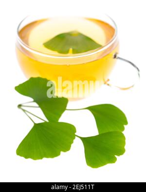 Plantes curatives : thé Ginkgo (ginko bilboa) avec feuilles Banque D'Images