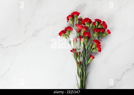 La belle carnation fleurit sur fond de marbre. Vue de dessus Banque D'Images