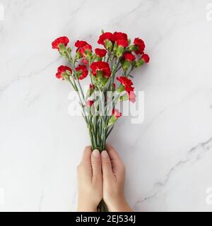 Fleurs de la carnation béaytiful avec les mains sur fond de marbre. Vue de dessus Banque D'Images