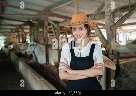 cowboy fille avec les mains croisées tout en portant un chapeau dedans une vache stable avec un fond de vache Banque D'Images