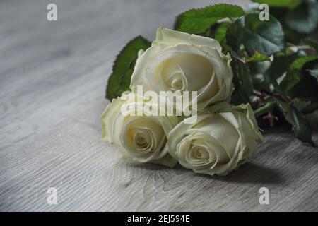 bouquet de trois roses blanches naturelles sur fond de bois Banque D'Images