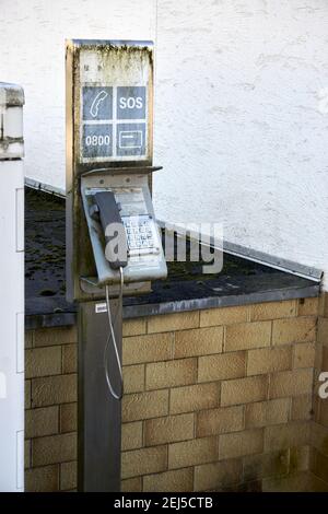 ancien téléphone à pièces surcultivé de mousse en allemagne. Banque D'Images