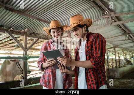 un homme portant un chapeau et un propriétaire de ranch utilisant une tablette numérique dans le fond du bétail stylo Banque D'Images