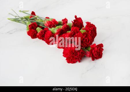 La belle carnation fleurit sur fond de marbre. Vue de dessus Banque D'Images