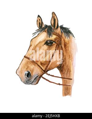 Aquarelle dessinée à la main illustration colorée d'un cheval brun avec de la manie noire isolée sur fond blanc. Banque D'Images