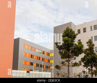 Sydney, Nouvelle-Galles du Sud, Australie. 14 février 2021. Hôpital Royal North Shore à St Leonards. RNSH est un important hôpital d'enseignement public Banque D'Images