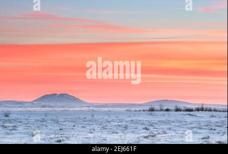 Un lever de soleil hivernal arctique avec des pingos au loin (collines couvertes de glace pergélisol), près de Tuktoyaktuk, Territoires du Nord-Ouest, Canada Banque D'Images