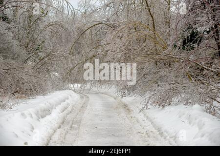 Une route couverte de glace. Les arbres couverts de glace sont courbés sur la route, ce qui les bloque partiellement. La route est recouverte de glace et de neige, les traces de pneus sont visibles. Banque D'Images