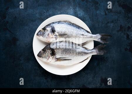 Poisson dorado cru sur plaque blanche sur fond bleu foncé. Concept de fruits de mer méditerranéens. Vue de dessus, espace de copie pour le texte Banque D'Images