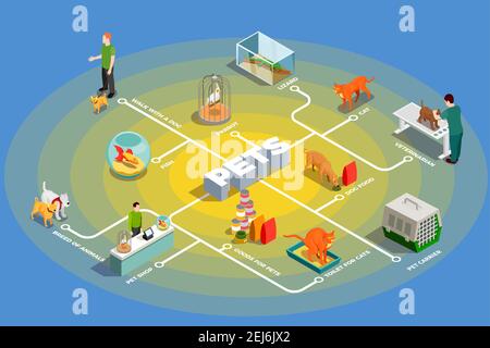 Diagramme isométrique pour animaux de compagnie avec étui pour chiens de races pour animaux de toilette illustration vectorielle des icônes de la boutique d'animaux de compagnie pour chats Illustration de Vecteur