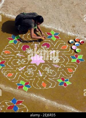 Une femme hindoue indienne dessine des rangoli traditionnels pendant le festival de récolte pongal ou makar sankrant Banque D'Images