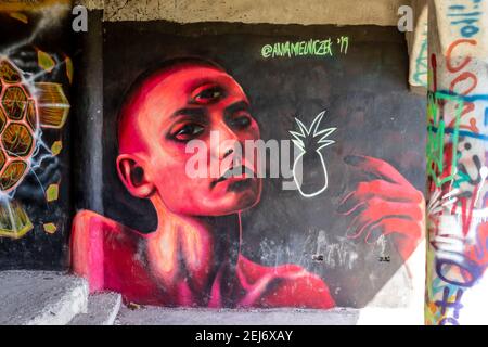 Les ruines d'un complexe, d'un hôtel ou d'une maison rumeur fournissent une toile pour le travail artistique de graffiti dans la jungle près de Jaco, Costa Rica. Banque D'Images