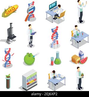 Organismes génétiquement modifiés ensemble d'icônes isométriques avec recherche sur l'adn, produits ogm, illustration de vecteurs isolés en laboratoire scientifique Illustration de Vecteur