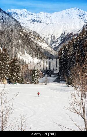 Vue pittoresque sur la crête de montagne enneigée et la forêt de conifères à proximité ski de fond éloigné dans la campagne Banque D'Images