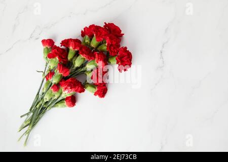 La belle carnation fleurit sur fond de marbre. Vue de dessus Banque D'Images