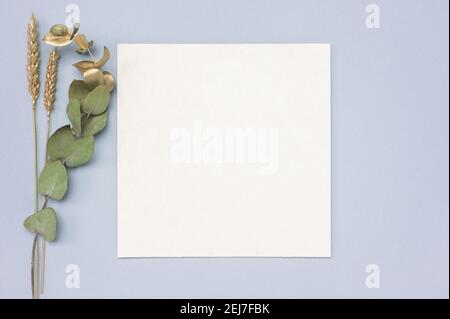 Carte d'invitation carrée avec branche d'eucalyptus doré. Vue de dessus d'une maquette de carte blanche avec branche d'eucalyptus sur une table de couleur neutre Banque D'Images