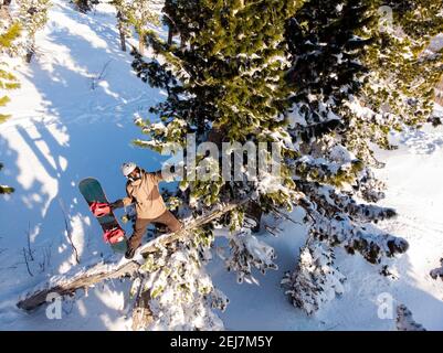 Le pilote de snowboardeur se tient sur l'arbre, regarde à travers le chemin neige fraîche forêt hors piste pente. Vue de dessus de l'antenne. Banque D'Images